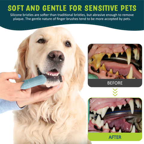 Pet Fortuna 360º Dog Finger Toothbrush For Cats and Dogs (2-Pack)