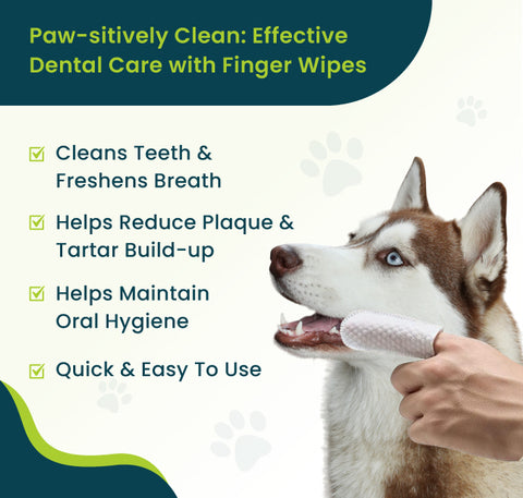 Pet Fortuna Pet Teeth Cleaning Finger Wipes for Dogs & Cats, Disposable Cleaning Dental Wipe - Unscented (50 Count)