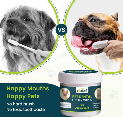 Pet Fortuna Pet Teeth Cleaning Finger Wipes for Dogs & Cats, Disposable Cleaning Dental Wipe - Unscented (50 Count)