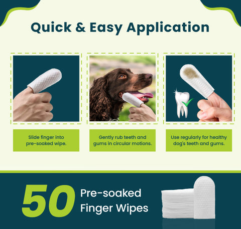 Pet Fortuna Pet Teeth Cleaning Finger Wipes for Dogs & Cats, Disposable Cleaning Dental Wipe - Unscented (50 Count)
