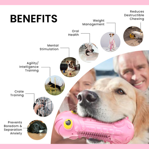 Pet Fortuna Tough Dog Chew Toy, For Aggressive Chewers, Medium and Large Breeds (Octopus - Pink)